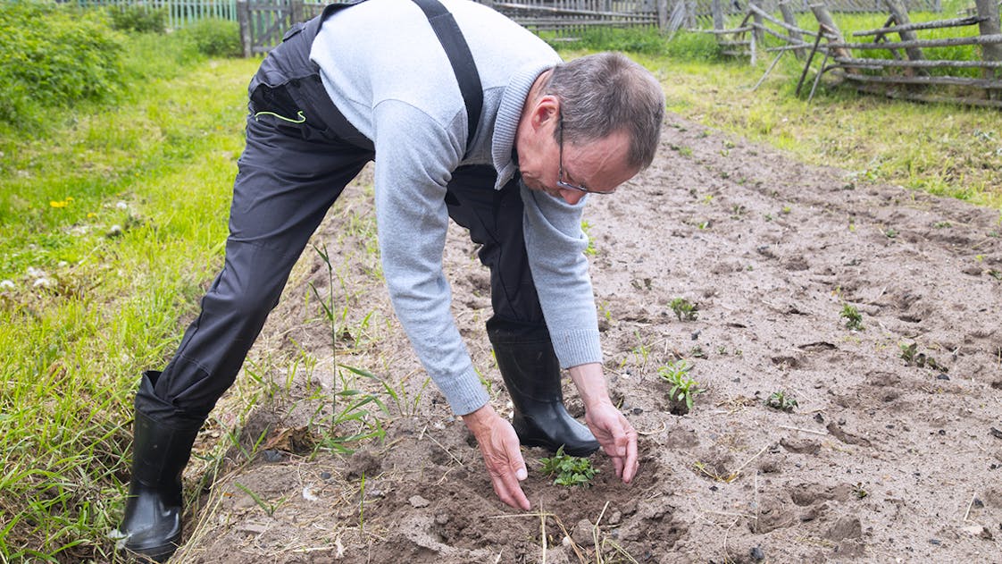 Un agriculteur dans son champs